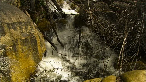 Mountain stream rushes down hillside pan Stock Footage 87281396