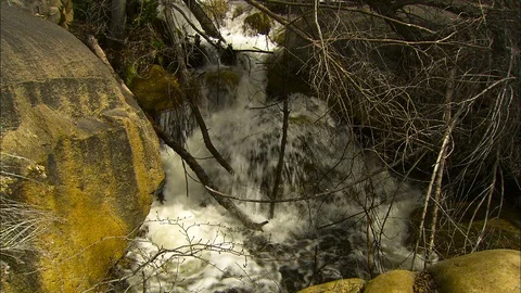 Mountain stream rushes through brush and boulders Stock Footage 87285094