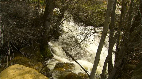 Mountain stream rushes through trees and past boulders 스톡 동영상 87285352