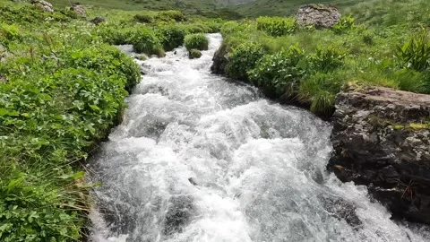 Mountain stream rushing through alpine meadow in the Roshka Valley Stock Footage 340385615