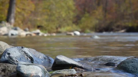 Mountain stream, Russia Stock Footage 43055175