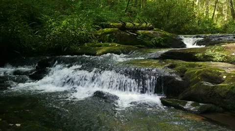 Mountain stream shot in slow motion in lush woodland area deep in the wilderness Stock Footage 54621629