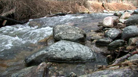 Mountain Stream-Side Ground View 動画素材 109710