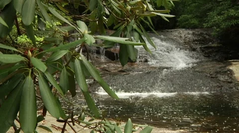 Mountain Stream Slider Shot Vidéo 8832444