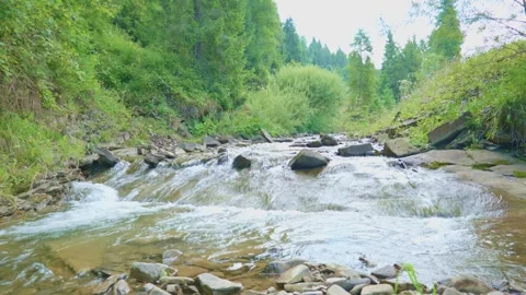 Mountain Stream in Slovakia Forest Video stock 330997830