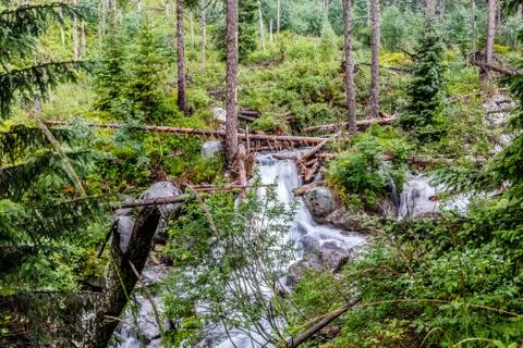 Mountain stream in Slovakia Stock Photos