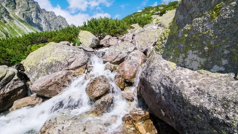 Mountain stream - slovakia - timelapse Stock Footage 79077695