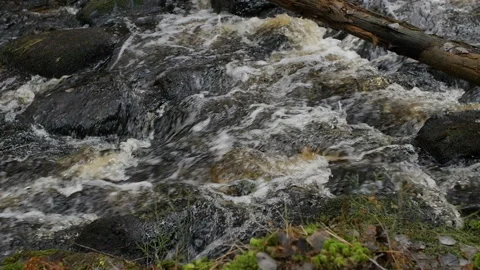 Mountain stream slow motion Stock Footage 121317676