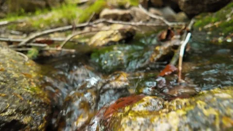 Mountain Stream Slow Motion: Water Flowing, Natural Rocks Video stock 308725229