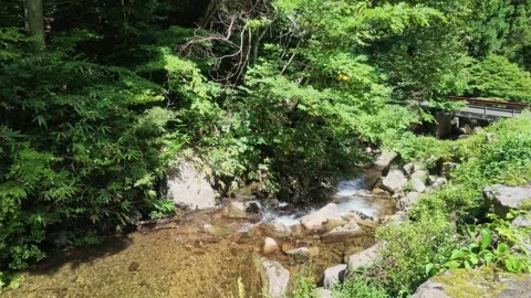 Mountain Stream with a Small Bridge in Gifu Stock Footage 346506218