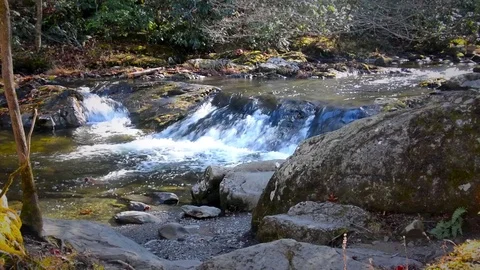 Mountain Stream With Small Waterfall Stock Footage 70290797