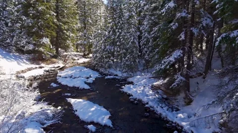 Mountain stream in a snowy forest 動画素材 305702542