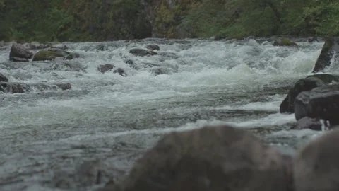 Mountain Stream in Spring 2 Stock Footage 238856778