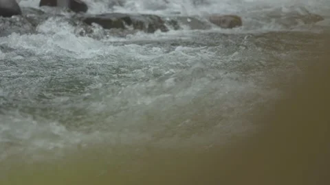 Mountain Stream in Spring 3 Stock Footage 238856081