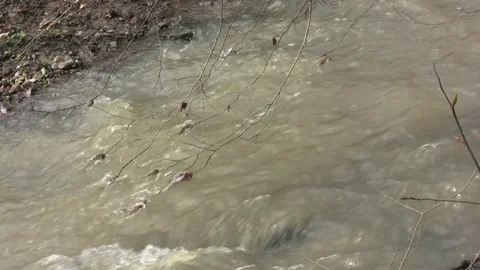 Mountain Stream in Spring Video stock 91922778