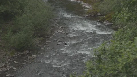 Mountain Stream in Spring Stock Footage 238856729