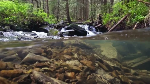 Mountain stream in the spring forest. Carpathians, Ukraine. Recording of the  Stock Footage 156761048