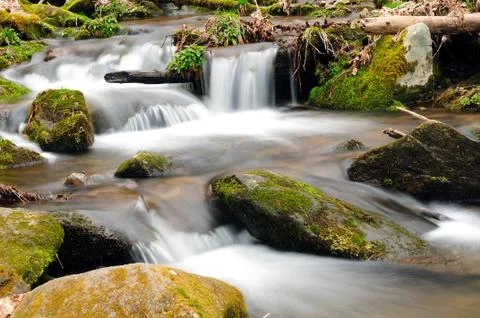A mountain stream in the spring Stockfoto's