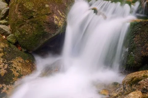 Mountain stream in the spring Stock Photos