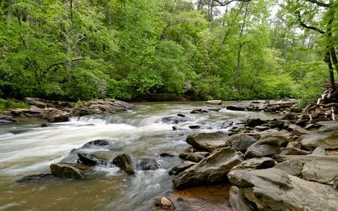 Mountain Stream in Spring 写真素材