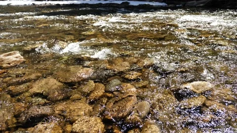 Mountain Stream Spring Snow Melt-4k Stock Footage 130883209