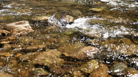 Mountain Stream Spring Snow Melt-4k Stock Footage 130883873