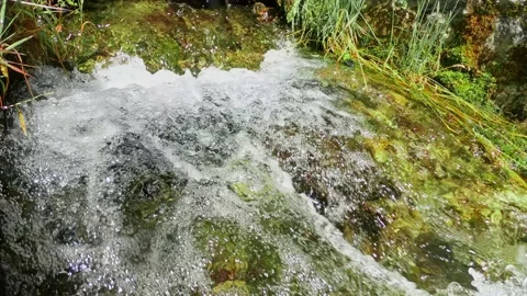 Mountain stream, spring water flowing hi... | Stock Video | Pond5