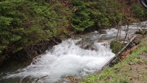 Mountain Stream in the Spring wood Stock Footage 74765878