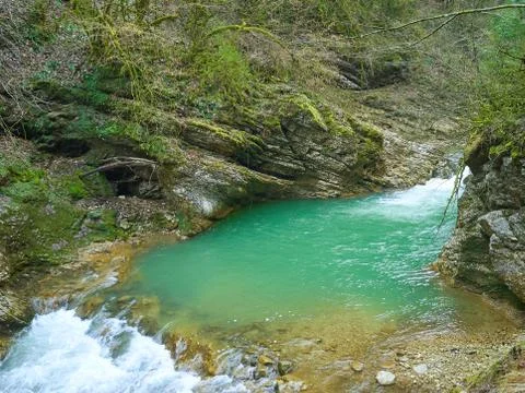 Mountain Stream in Springtime. Stock-Fotos
