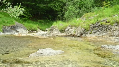 Mountain stream with stones and clear water Stock Footage 211469495
