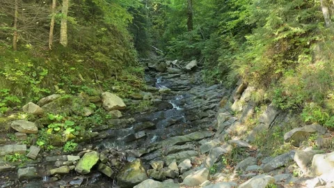 Mountain stream with stony bed on a forested slope Stock Footage 300003515