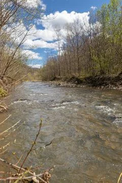 A mountain stream with stormy water flows through the forests in the reserve Stock Photos
