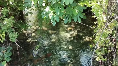 Mountain stream on a summer afternoon Stock-Footage 199770035