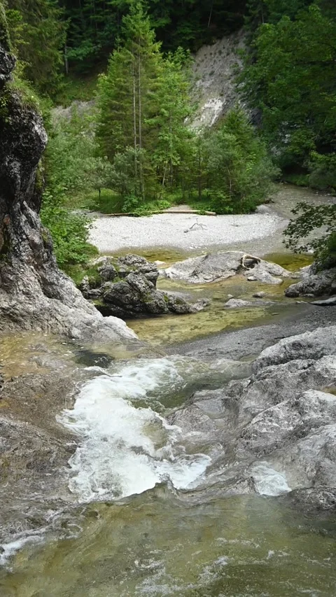 A mountain stream in the summer evening, vertical shot, slow motion Stock Footage 260941004