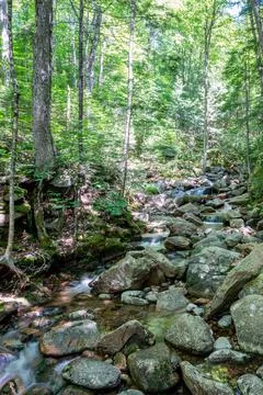 Mountain Stream in the summer Stock Photos