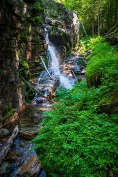 Mountain Stream in the summer Stock Photos