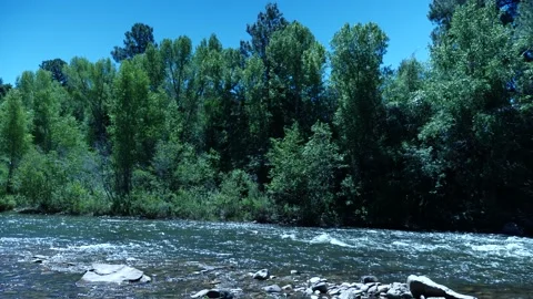 Mountain Stream Summer Time Stock Footage 146200867