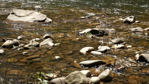 Mountain Stream Summer Time Stock Footage 146201048