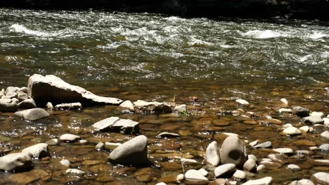 Mountain Stream Summer Time Video stock 146201058