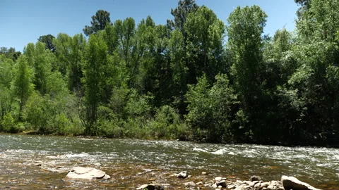 Mountain Stream Summer Time Stock Footage 146201163