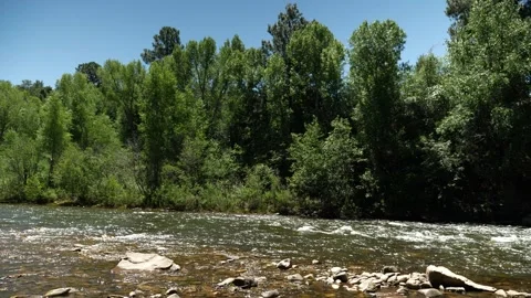 Mountain Stream Summer Time Stock Footage 146201207