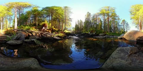 Mountain Stream at Sunrise with Soft Mist – 8K 360° Relaxing Scene Stock Footage 320373909