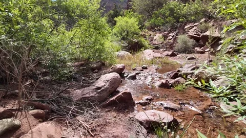 Mountain Stream in Taroudante, Morocco – Low Angle View Vídeo Stock 308941449