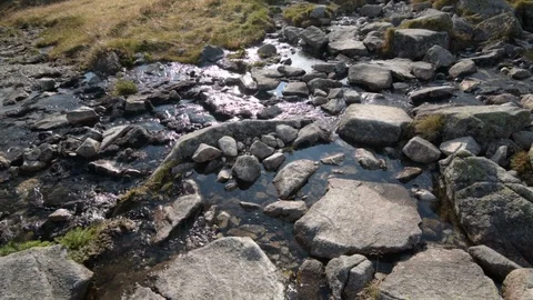 Mountain Stream in the Tatra Video stock 95490423