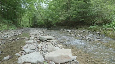 Mountain Stream in Tatra Mountains Stock-Footage 331031527