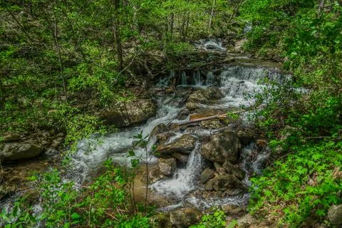 Mountain stream through the forest Foto stock