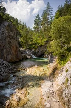 Mountain Stream Through Forested Gorge Stock Photos