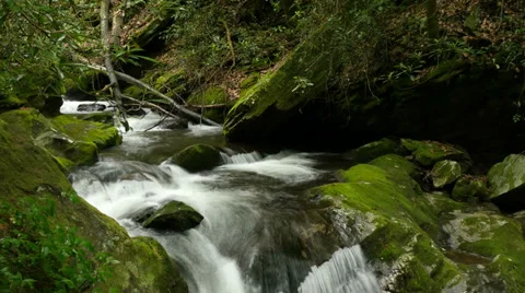 Mountain Stream Time lapse 13 Stock-Footage 38294188