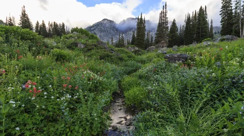 Mountain Stream Time Lapse Video stock 40545401