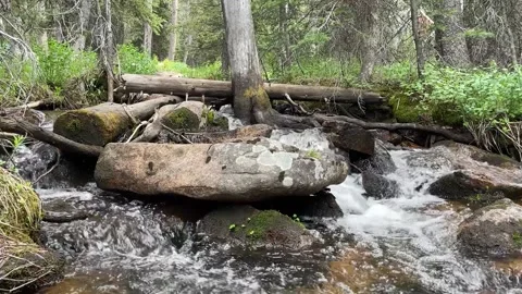 Mountain Stream Tree Rocks Stock Footage 156414260